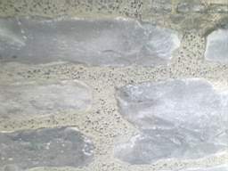 millstreet 11820.jpg